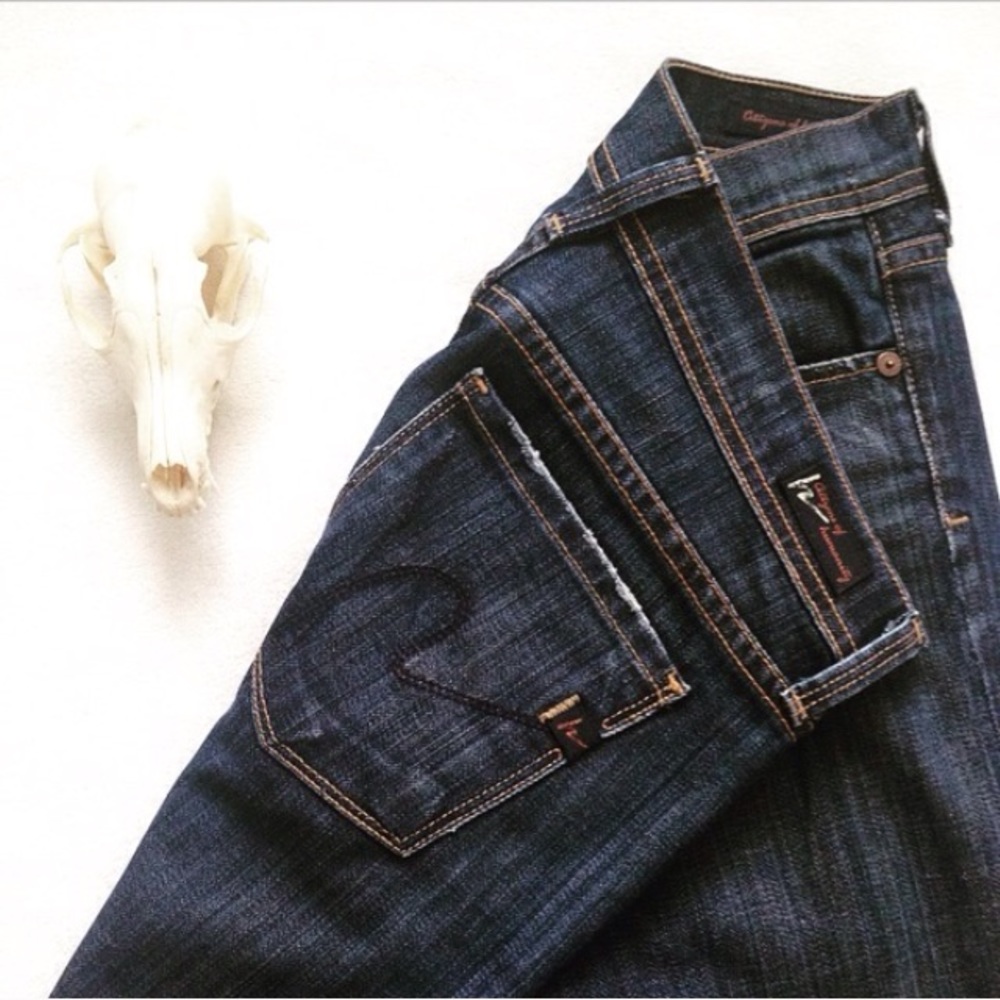 NWOT Citizens of Humanity Ingrid Low Waist Flare